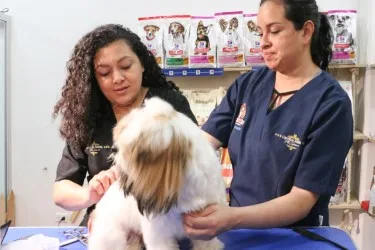 GetAttachmentThumbnail (1)