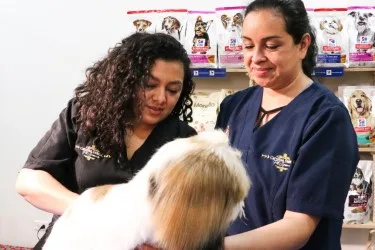 GetAttachmentThumbnail (2)