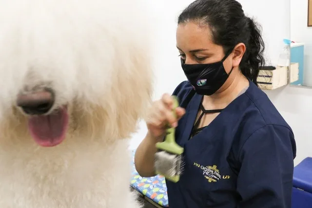 WhatsApp Image 2020-11-02 at 6.12.00 AM (1)