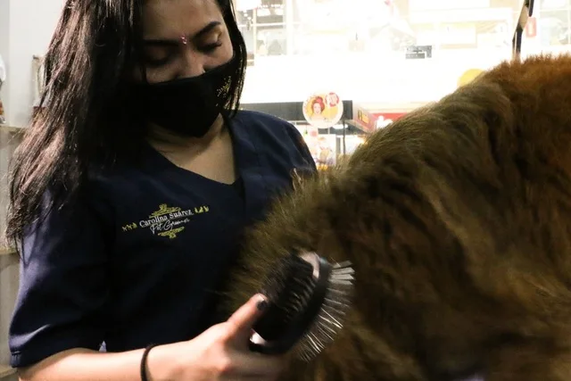 WhatsApp Image 2020-11-02 at 6.12.00 AM